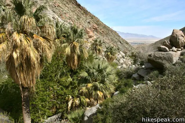 This 5.5-mile hike visits a 20-foot waterfall in a canyon near Borrego Springs, making it the perfect place to cool off on a hot day in the California Desert.
