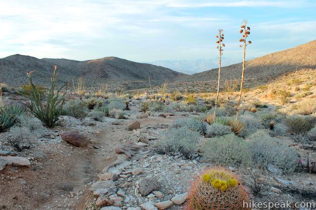 Kenyon Overlook Trail Anza-Borrego Desert State Park