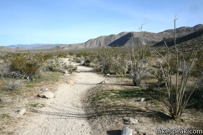 Morteros Trail Little Blair Valley