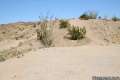 The Slot Anza-Borrego Desert