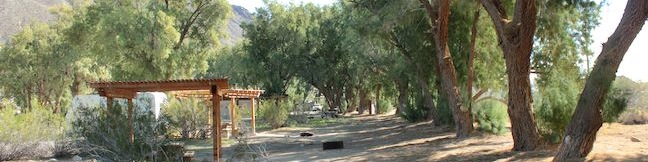 Tamarisk Grove Campground in Anza-Borrego Desert State Park camping