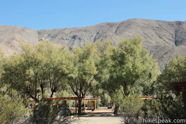 Tamarisk Grove Campground Anza-Borrego Desert State Park