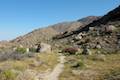 Tubb Canyon Trail