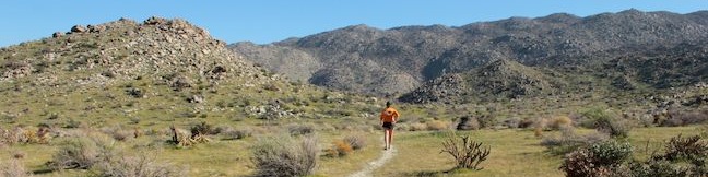 Tubb Canyon Trail to Big Spring in Anza-Borrego Desert State Park hike