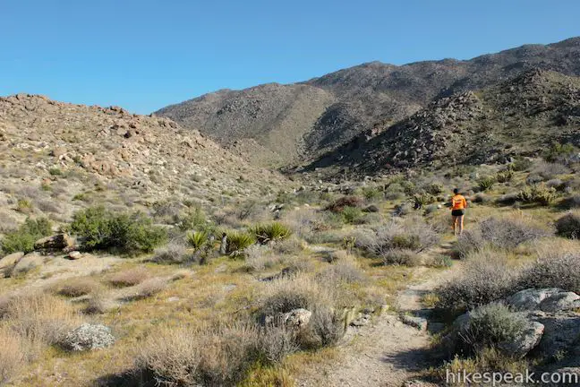 Anza-Borrego Desert Tubb Canyon