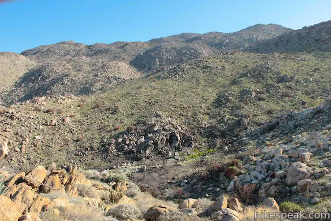 Anza-Borrego Desert Big Spring