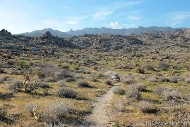 This 1.5-mile hike follows a footpath across Tubb Canyon to Big Spring in a desert canyon below Pinyon Ridge in the San Ysidro Mountains.