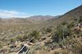 Marshal South Home Trail Anza-Borrego Desert