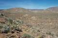 Marshal South Home Trail Anza-Borrego Desert