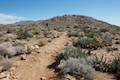 Marshal South Home Trail Anza-Borrego Desert