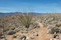 Marshal South Home Trail Anza-Borrego Desert