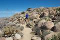 Marshal South Home Trail Anza-Borrego Desert