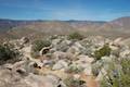 Marshal South Home Trail Anza-Borrego Desert