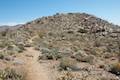 Marshal South Home Trail Anza-Borrego Desert