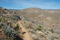 Marshal South Home Trail Anza-Borrego Desert