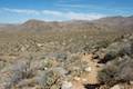 Marshal South Home Trail Anza-Borrego Desert