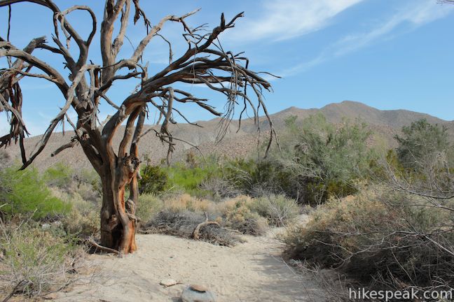 Yaqui Well Trail