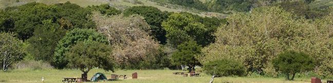 Camping in Andrew Molera State Park Trail Camp Big Sur California Campground