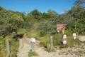 Andrew Molera State Park Loop hike