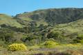 Andrew Molera State Park Loop hike