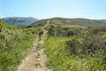 Andrew Molera State Park Ridge Trail Loop