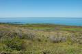 Andrew Molera State Park Ridge Trail Loop