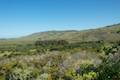 Andrew Molera State Park Ridge Trail Loop