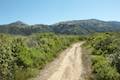 Andrew Molera State Park Ridge Trail Loop