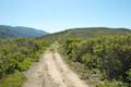 Andrew Molera State Park Ridge Trail Loop