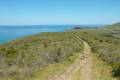 Andrew Molera State Park Ridge Trail Loop