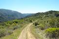 Andrew Molera State Park Ridge Trail Loop