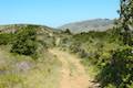 Andrew Molera State Park Ridge Trail Loop