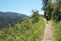 Andrew Molera State Park Ridge Trail Loop