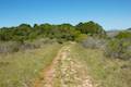 Andrew Molera State Park Ridge Trail Loop