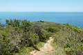 Andrew Molera State Park Panorama Trail Loop