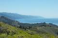 Andrew Molera State Park Ridge Panorama Loop