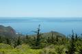 Andrew Molera State Park Panorama Trail Loop