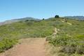 Andrew Molera State Park Ridge Panorama Loop