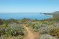 Andrew Molera State Park Ridge Panorama Loop