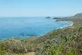 Andrew Molera State Park Ridge Panorama Loop