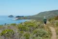 Andrew Molera State Park Ridge Panorama Loop