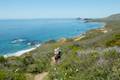 Andrew Molera State Park Ridge Panorama Loop