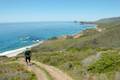 Andrew Molera State Park Ridge Panorama Loop