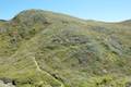 Andrew Molera State Park Ridge Panorama Loop