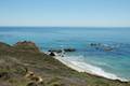 Big Sur Bluff Trail