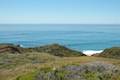 Big Sur Bluff Trail