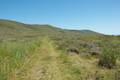 Big Sur Bluff Trail