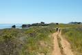 Big Sur Bluff Trail