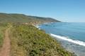 Big Sur Bluff Trail