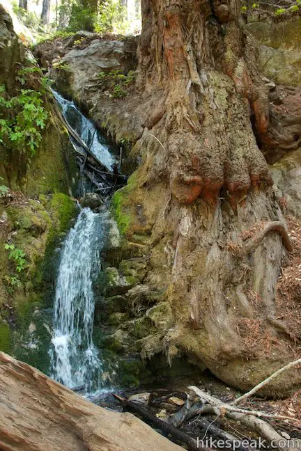 Canyon Falls Julia Pfeiffer Burns State Park